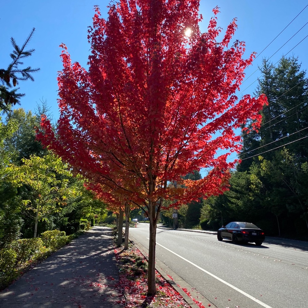 Meet your Posher, Ye